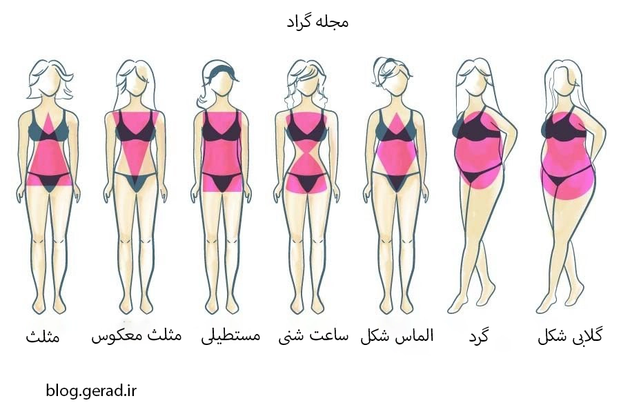 شناسایی فرم بدنی مختلف خانم ها